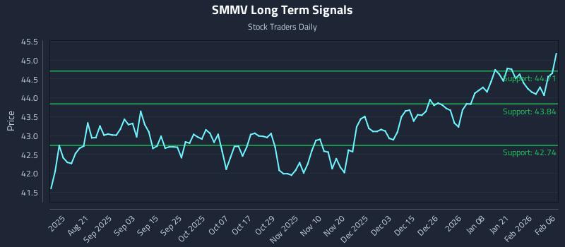 SMMV Long Term Analysis for February 6 2026