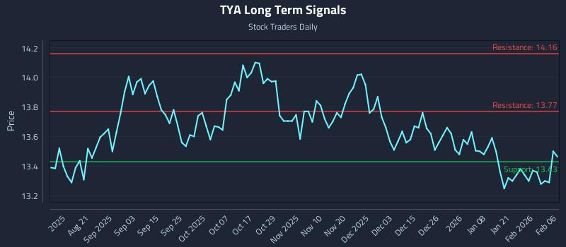 TYA Long Term Analysis for February 6 2026 TYA Long Term Analysis for February 6 2026