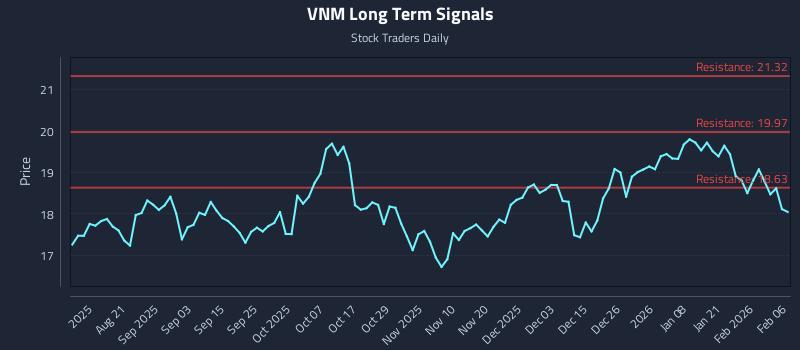 VNM Long Term Analysis for February 6 2026