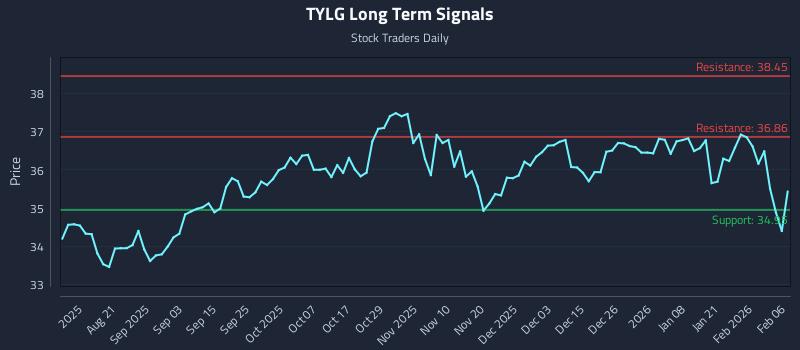 TYLG Long Term Analysis for February 6 2026