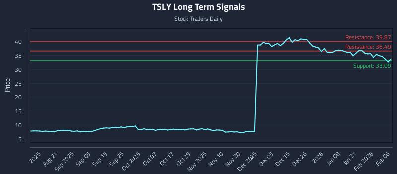 TSLY Long Term Analysis for February 7 2026