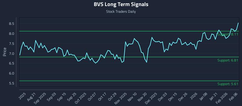 BVS Long Term Analysis for February 7 2026