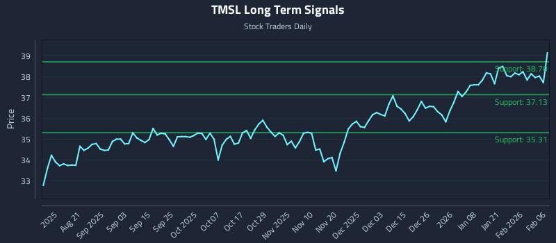 TMSL Long Term Analysis for February 7 2026