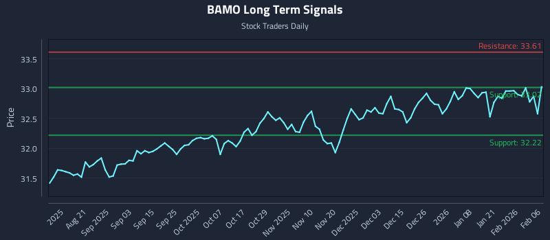 BAMO Long Term Analysis for February 7 2026