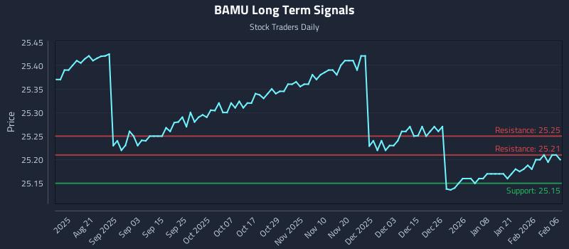 BAMU Long Term Analysis for February 7 2026