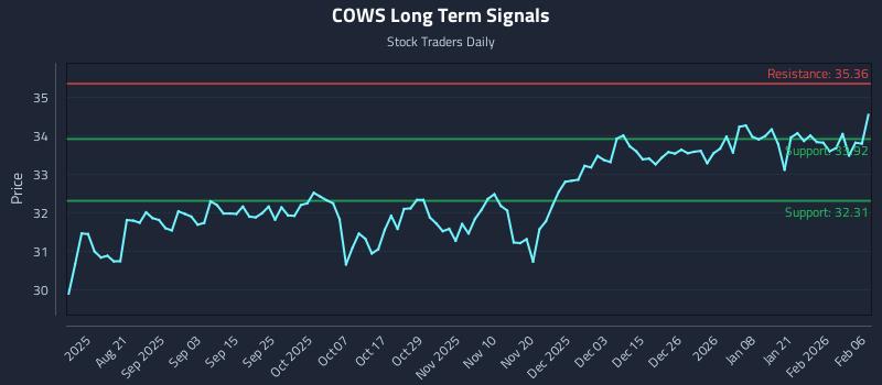 COWS Long Term Analysis for February 7 2026