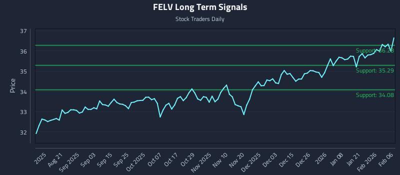 FELV Long Term Analysis for February 7 2026