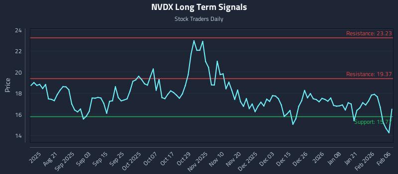 NVDX Long Term Analysis for February 8 2026