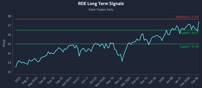 ROE Long Term Analysis for February 8 2026
