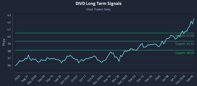 DIVD Long Term Analysis for February 8 2026