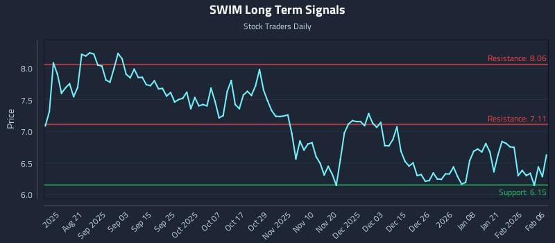 SWIM Long Term Analysis for February 8 2026