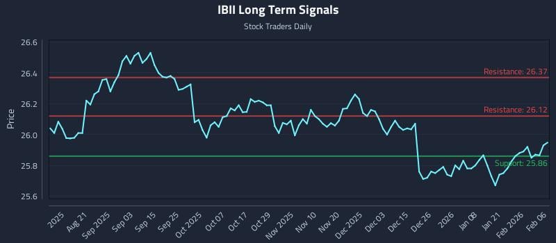 IBII Long Term Analysis for February 8 2026