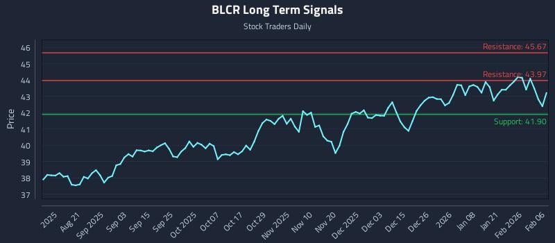 BLCR Long Term Analysis for February 8 2026