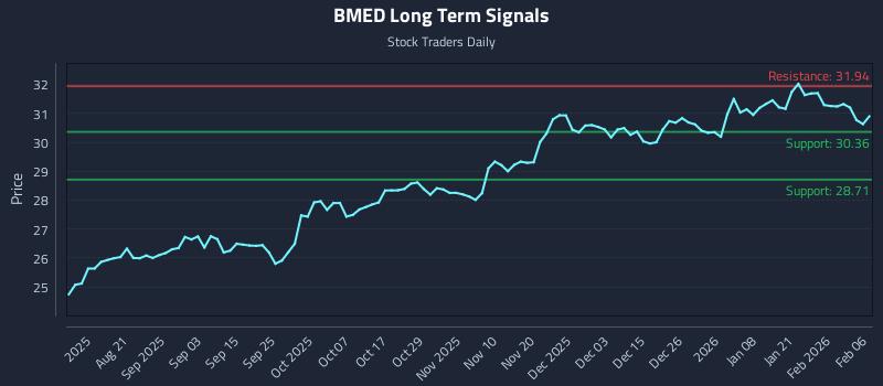 BMED Long Term Analysis for February 8 2026