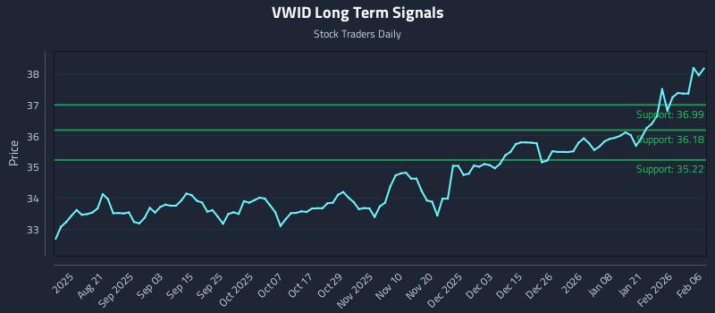 VWID Long Term Analysis for February 8 2026