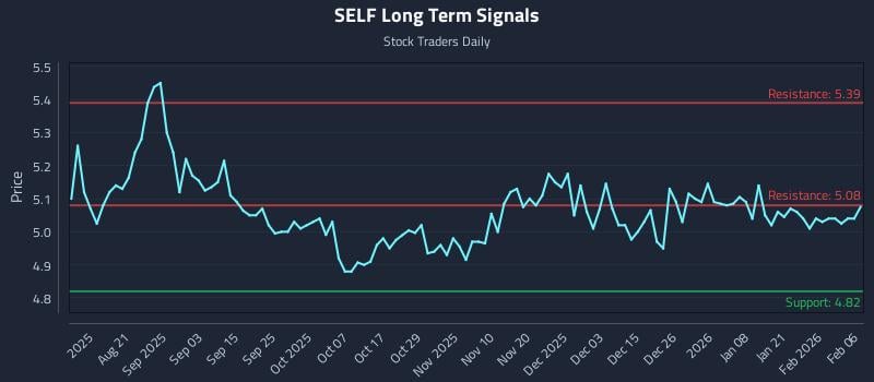 SELF Long Term Analysis for February 8 2026
