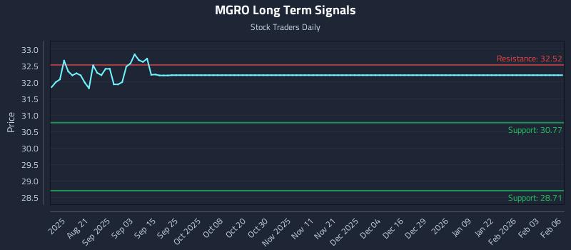 MGRO Long Term Analysis for February 8 2026
