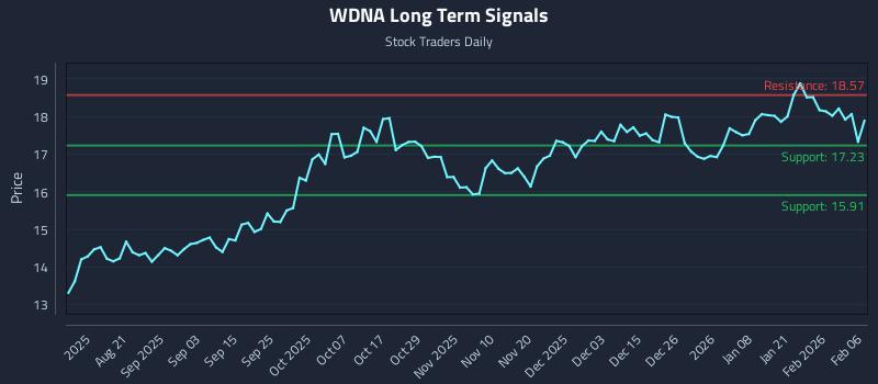 WDNA Long Term Analysis for February 8 2026 WDNA Long Term Analysis for February 8 2026
