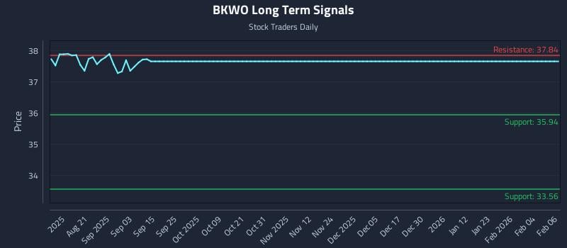 BKWO Long Term Analysis for February 8 2026