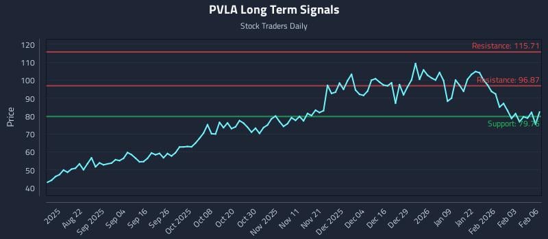 PVLA Long Term Analysis for February 9 2026 PVLA Long Term Analysis for February 9 2026