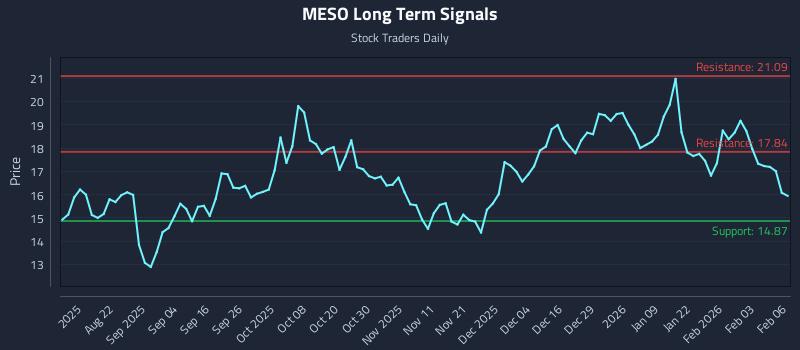 MESO Long Term Analysis for February 9 2026