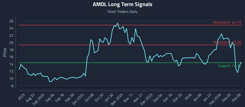 AMDL Long Term Analysis for February 9 2026