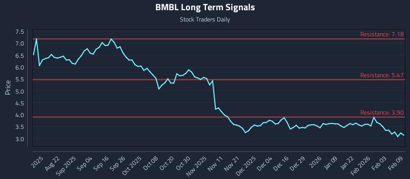 BMBL Long Term Analysis for February 9 2026
