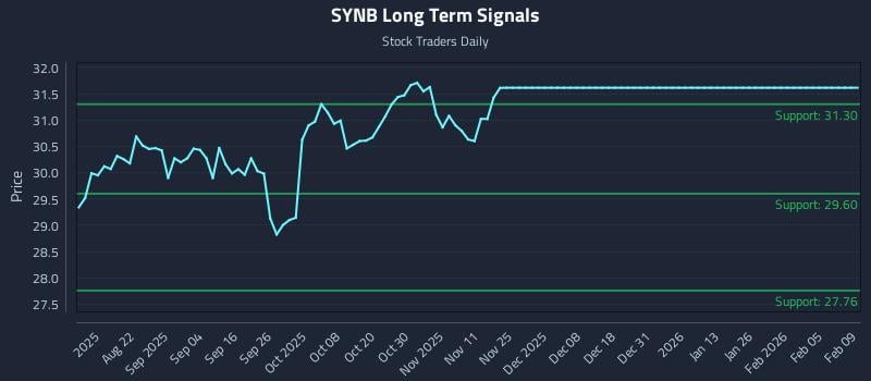 SYNB Long Term Analysis for February 9 2026
