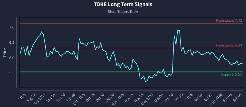 TOKE Long Term Analysis for February 9 2026