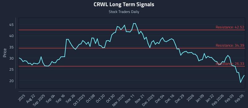 CRWL Long Term Analysis for February 9 2026