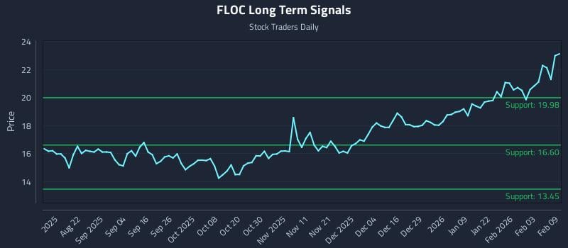 FLOC Long Term Analysis for February 9 2026