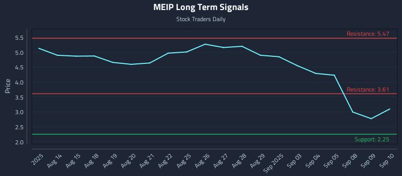 MEIP Long Term Analysis for February 10 2026