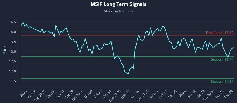 MSIF Long Term Analysis for February 10 2026