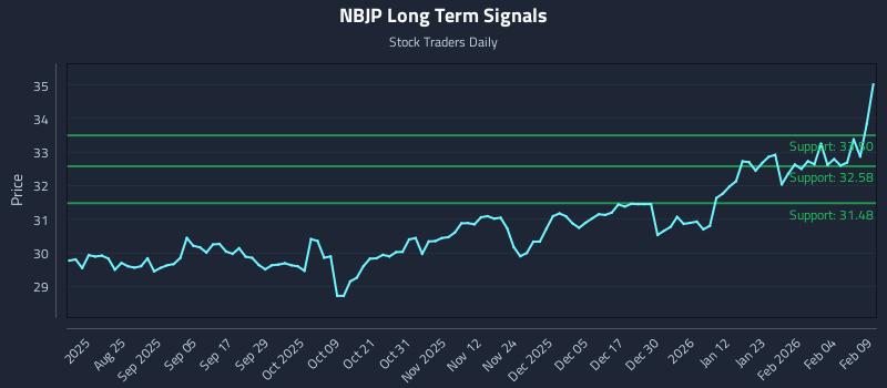 NBJP Long Term Analysis for February 10 2026