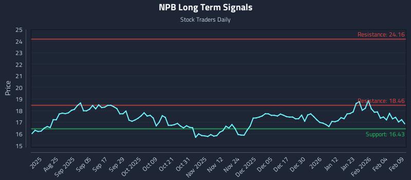 NPB Long Term Analysis for February 10 2026
