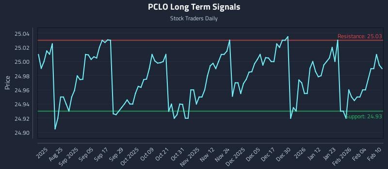 PCLO Long Term Analysis for February 10 2026