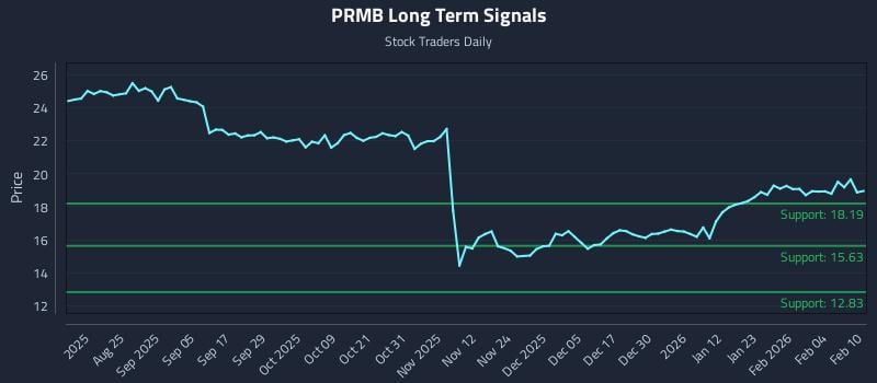 PRMB Long Term Analysis for February 10 2026