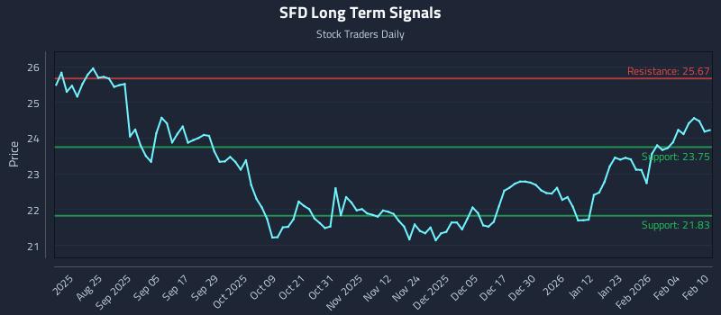 SFD Long Term Analysis for February 10 2026 SFD Long Term Analysis for February 10 2026