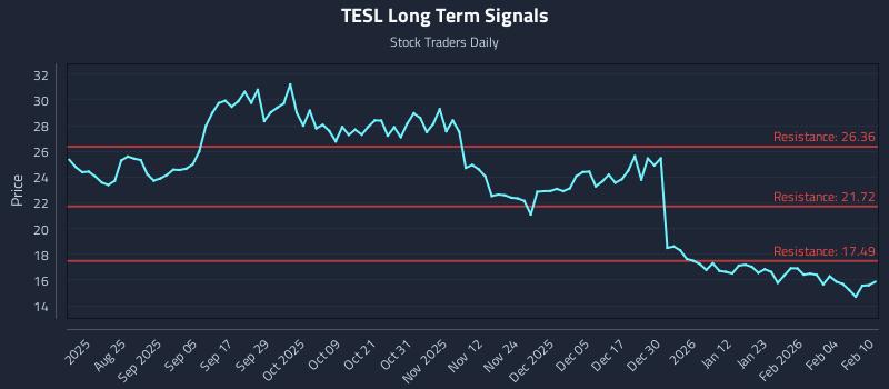 TESL Long Term Analysis for February 10 2026