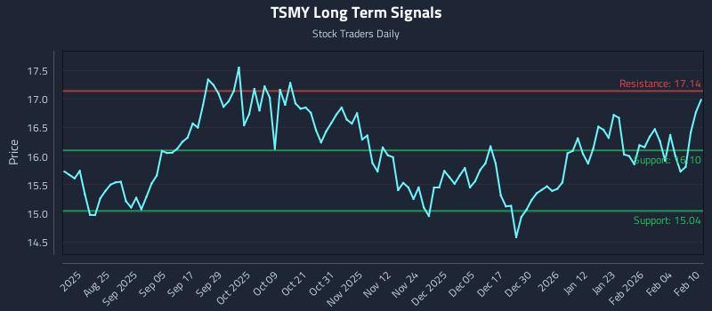 TSMY Long Term Analysis for February 10 2026 TSMY Long Term Analysis for February 10 2026