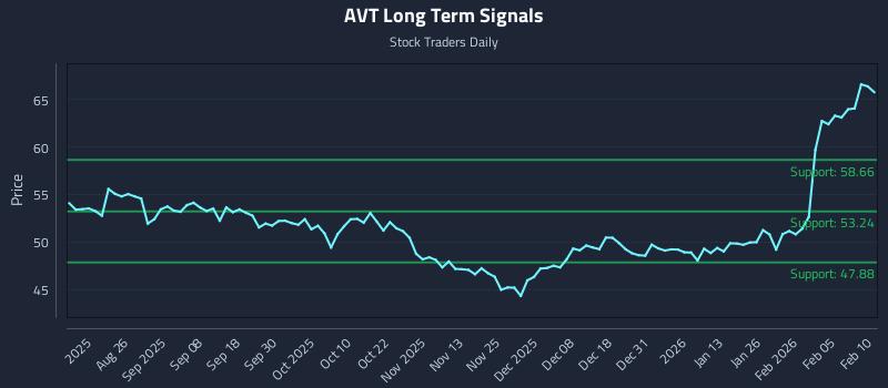 AVT Long Term Analysis for February 11 2026