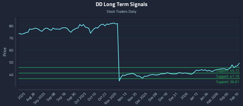 DD Long Term Analysis for February 11 2026 DD Long Term Analysis for February 11 2026