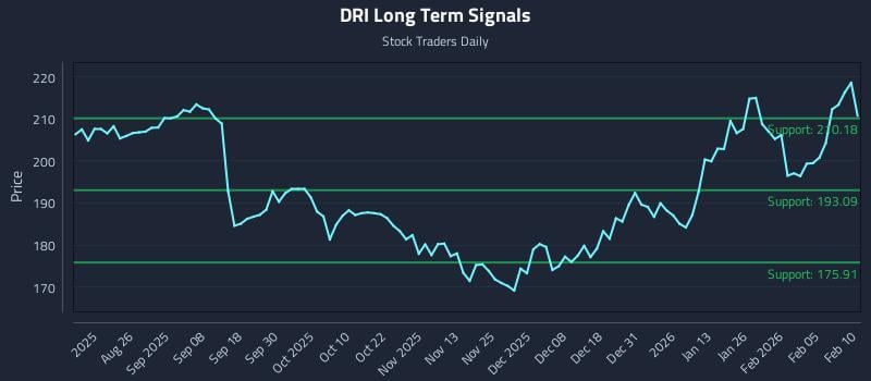 DRI Long Term Analysis for February 11 2026