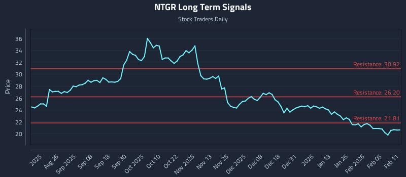 NTGR Long Term Analysis for February 11 2026