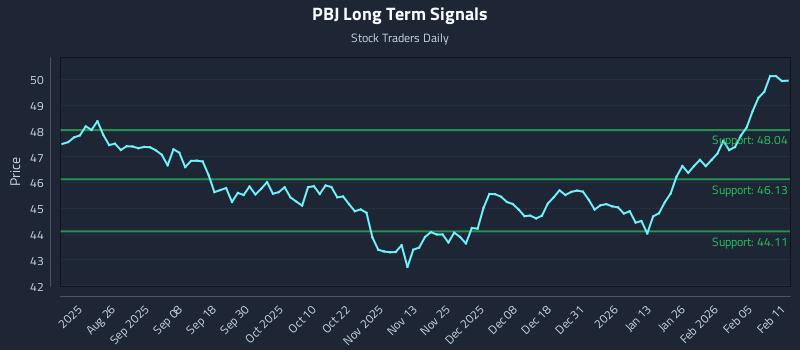 PBJ Long Term Analysis for February 11 2026