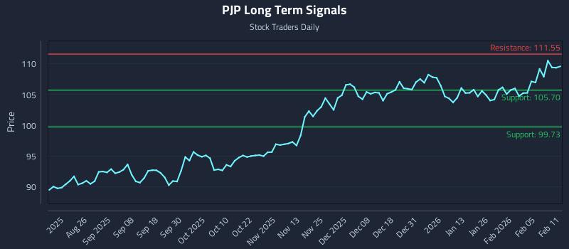PJP Long Term Analysis for February 11 2026