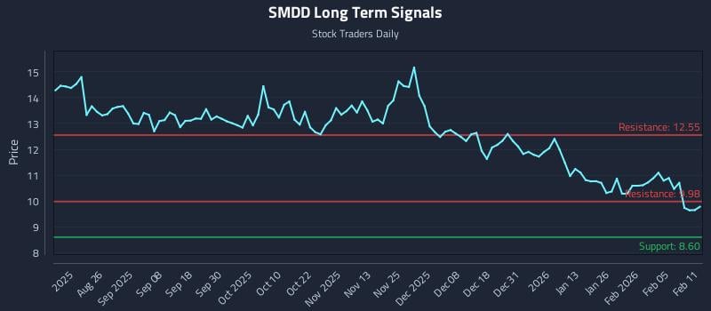 SMDD Long Term Analysis for February 11 2026