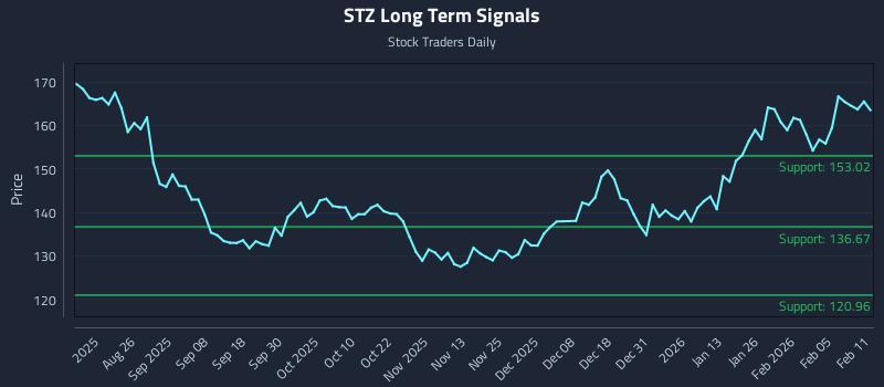STZ Long Term Analysis for February 11 2026 STZ Long Term Analysis for February 11 2026