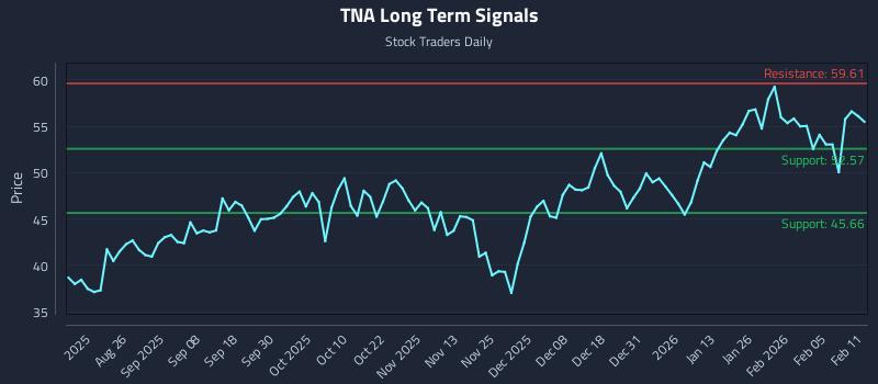 TNA Long Term Analysis for February 11 2026