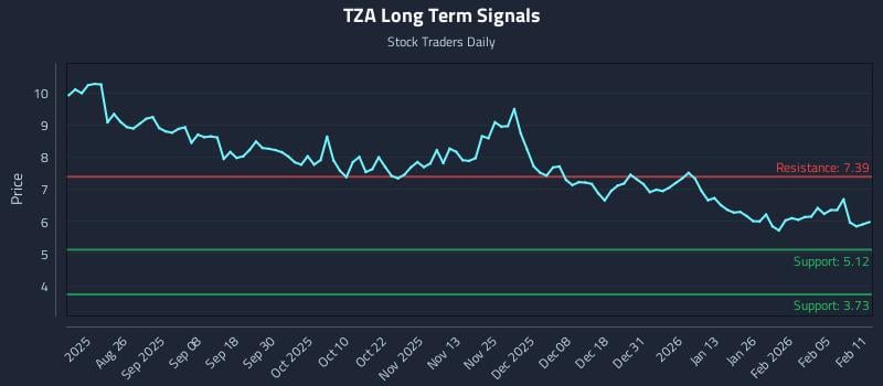 TZA Long Term Analysis for February 11 2026